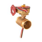  BBG-300 Bronze Butterfly Valve Grooved Ends 